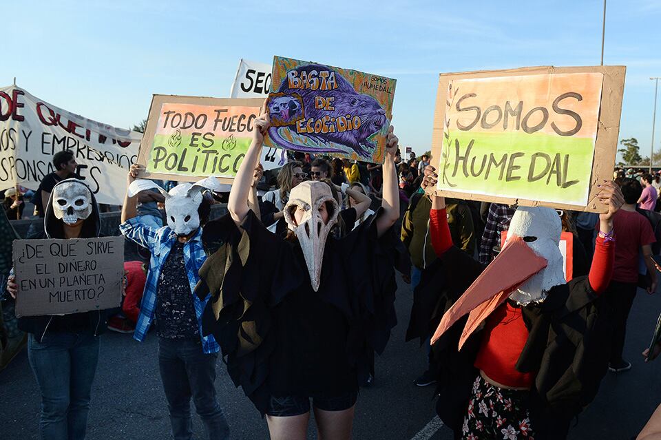 También se pidió por las especies en peligro por el fuego.
