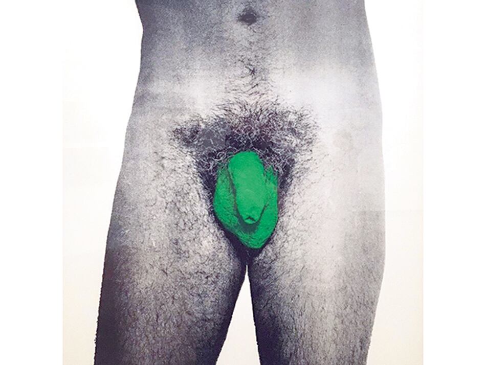 Coloración del sexo, 1971, Nicolás García Uriburu.