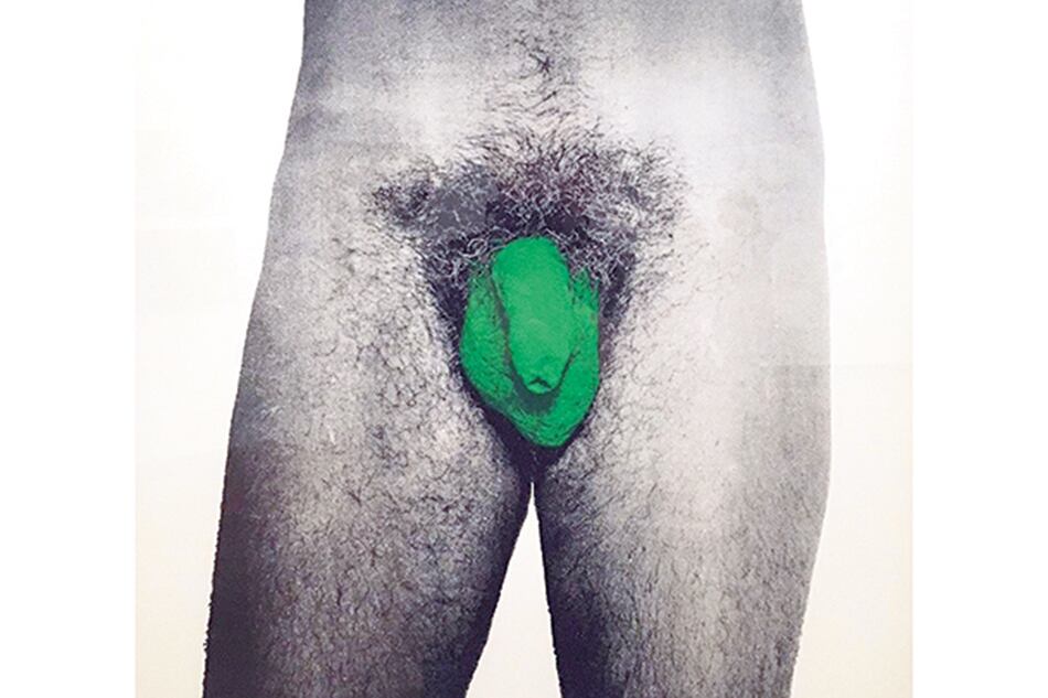 Coloración del sexo, 1971, Nicolás García Uriburu.