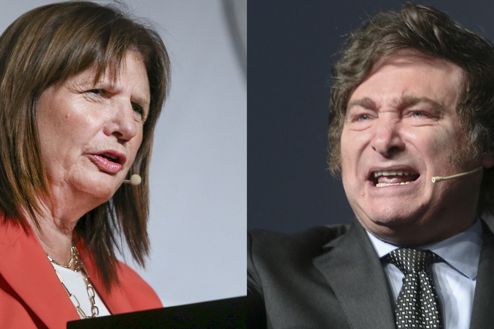 La titular del PRO (hoy de licencia) Patricia Bullrich y el diputado "libertario" Javier Milei.