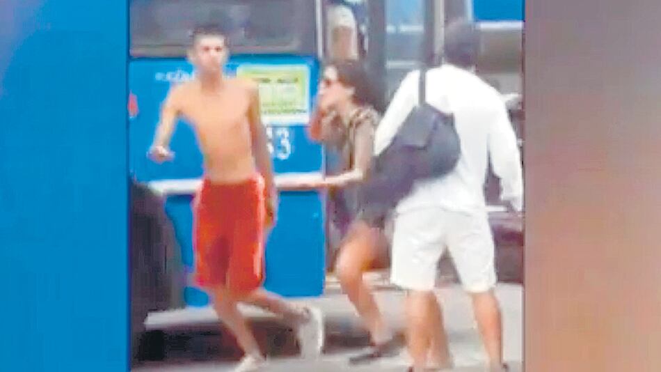 El 338, “La Costera”, es un colectivo de media distancia que une La Plata con San Isidro.