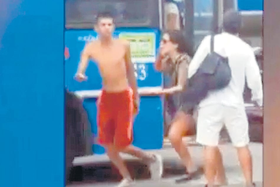 El 338, “La Costera”, es un colectivo de media distancia que une La Plata con San Isidro.