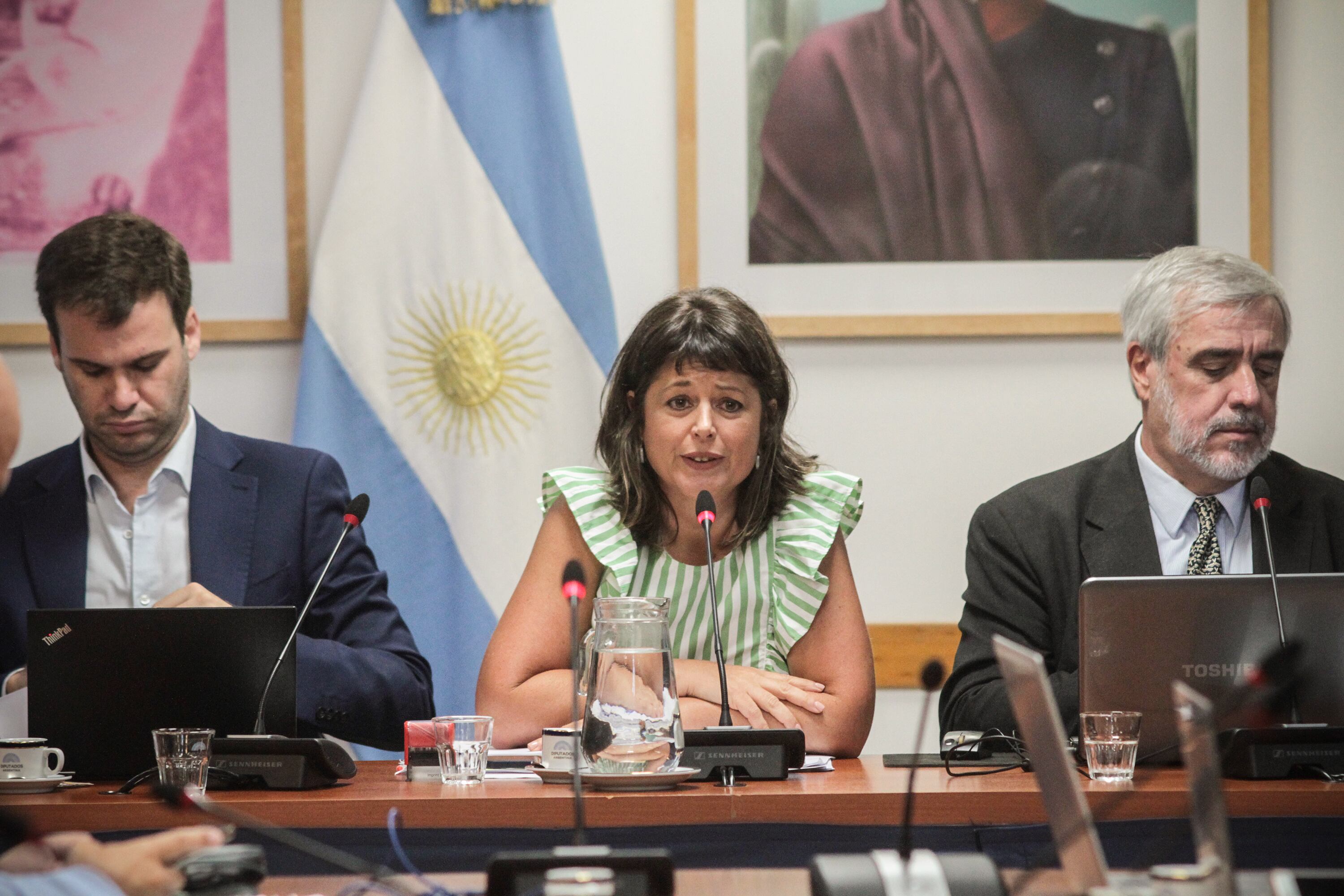 La presidenta de la Comisión de Juicio Político, Carolina Gaillard.