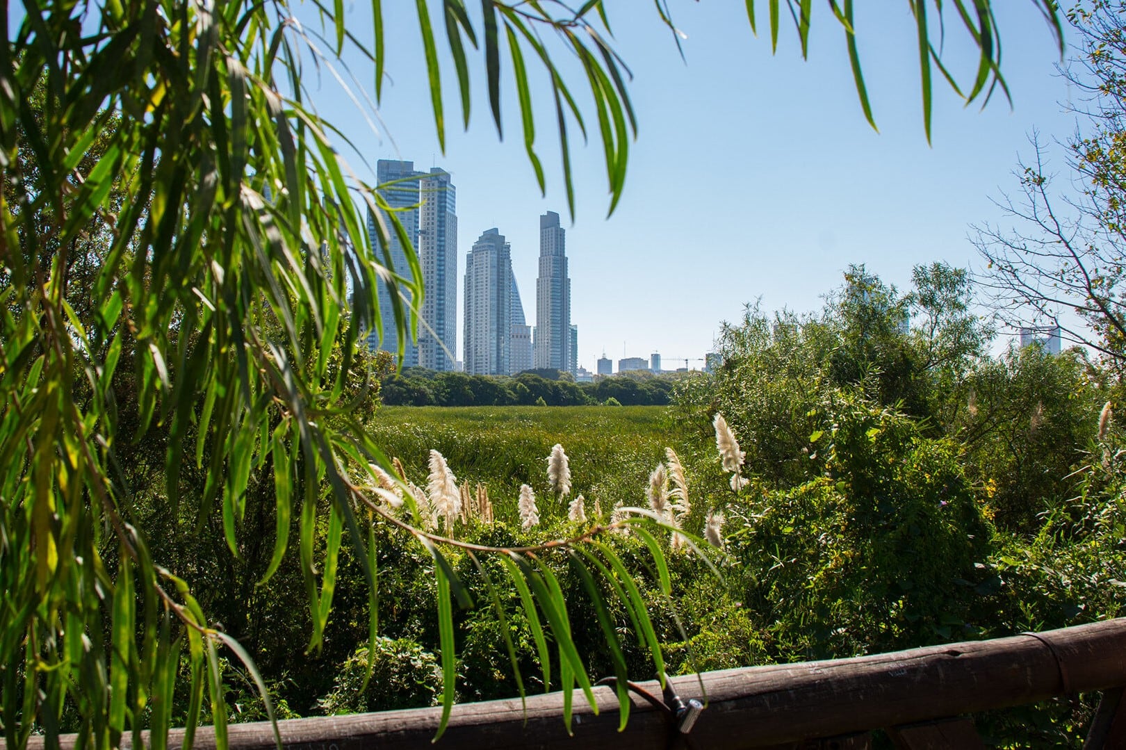La Cumbre Mundial de Alcaldes de C40 se desarrollará en la Ciudad de Buenos Aires entre el 19 y el 21 de octubre.