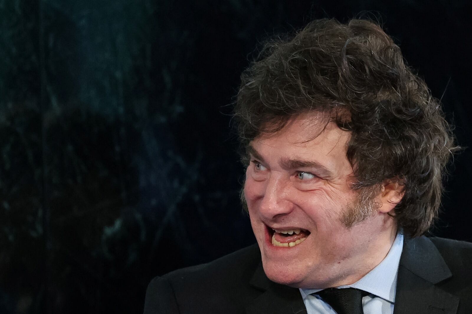 La agresividad de Javier Milei refleja pánico por la debacle económica.