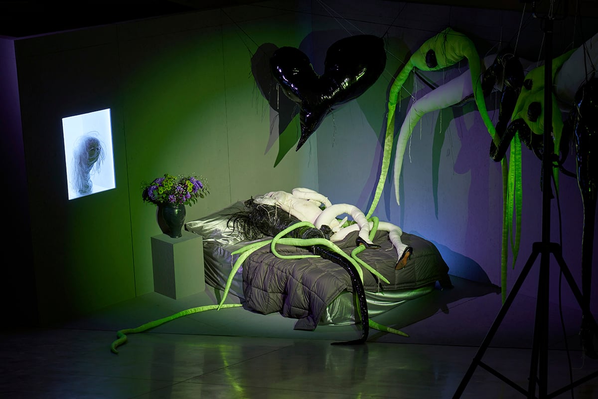 "Amatorio", vista de sala