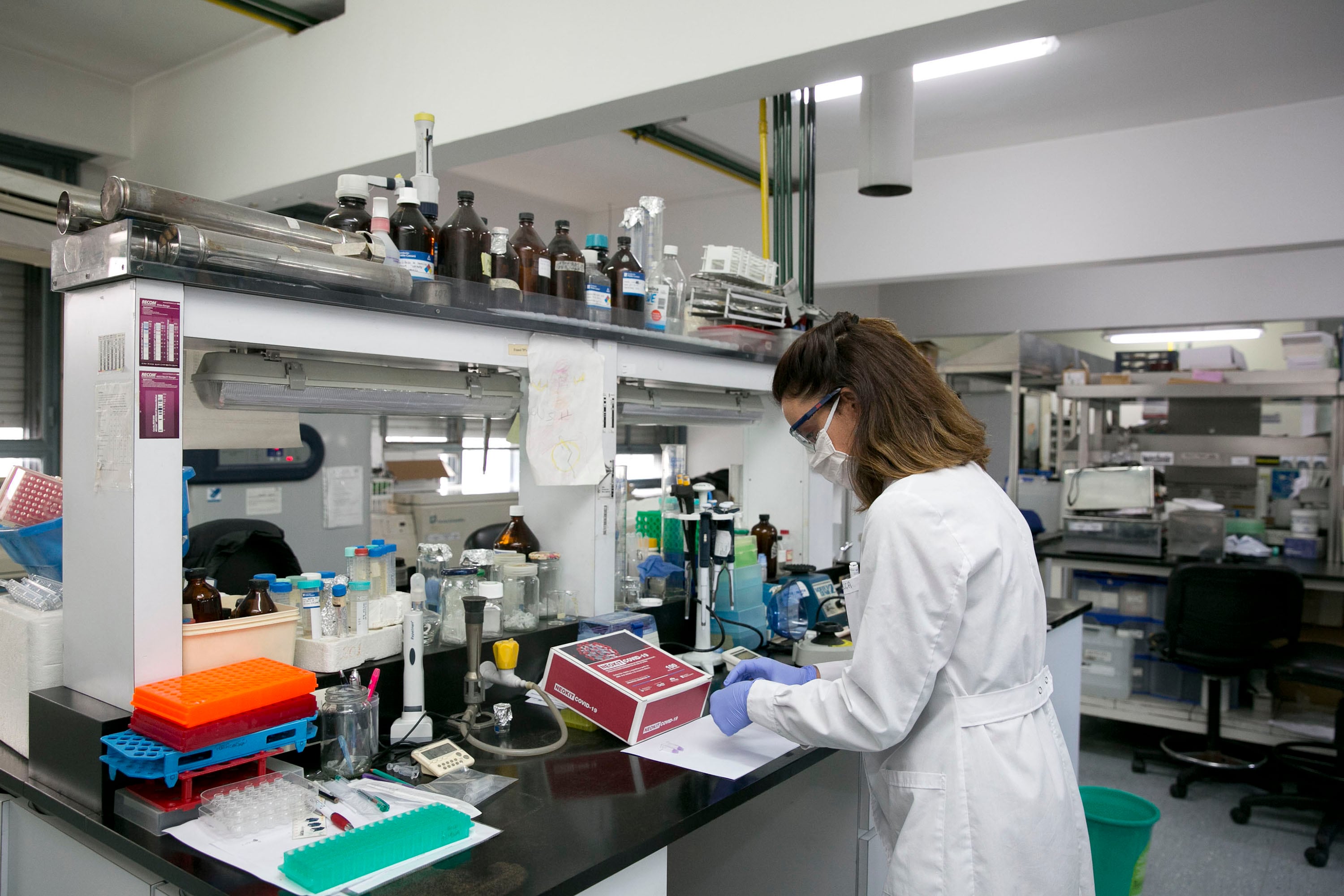 "El crecimiento debe asentarse en un patrón que combine ventajas comparativas naturales y desarrollo industrial y de servicios modernos", propone el Plan Fénix.