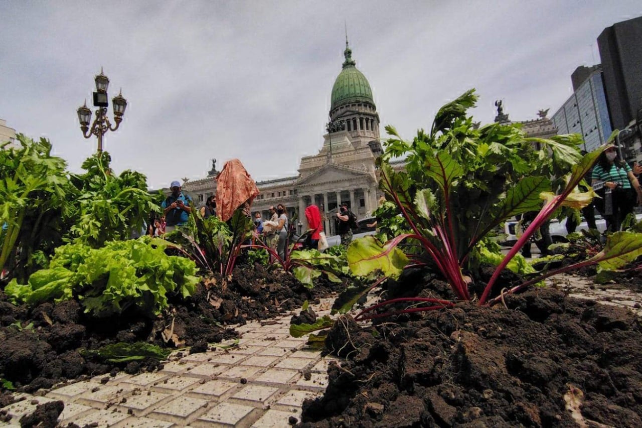 “Una familia, accediendo a la tierra, genera verduras para abastecer a 130 hogares. Esto tiene una repercusión directa en la calidad de lo comemos”, planteó Rosalía Pellegrini, referenta de la organización.