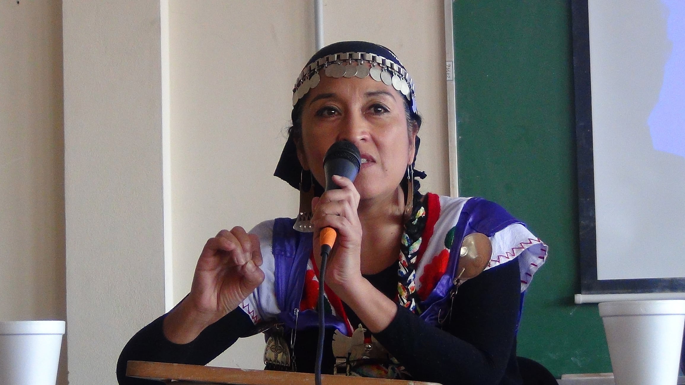 Moira Millán, referente mapuche.