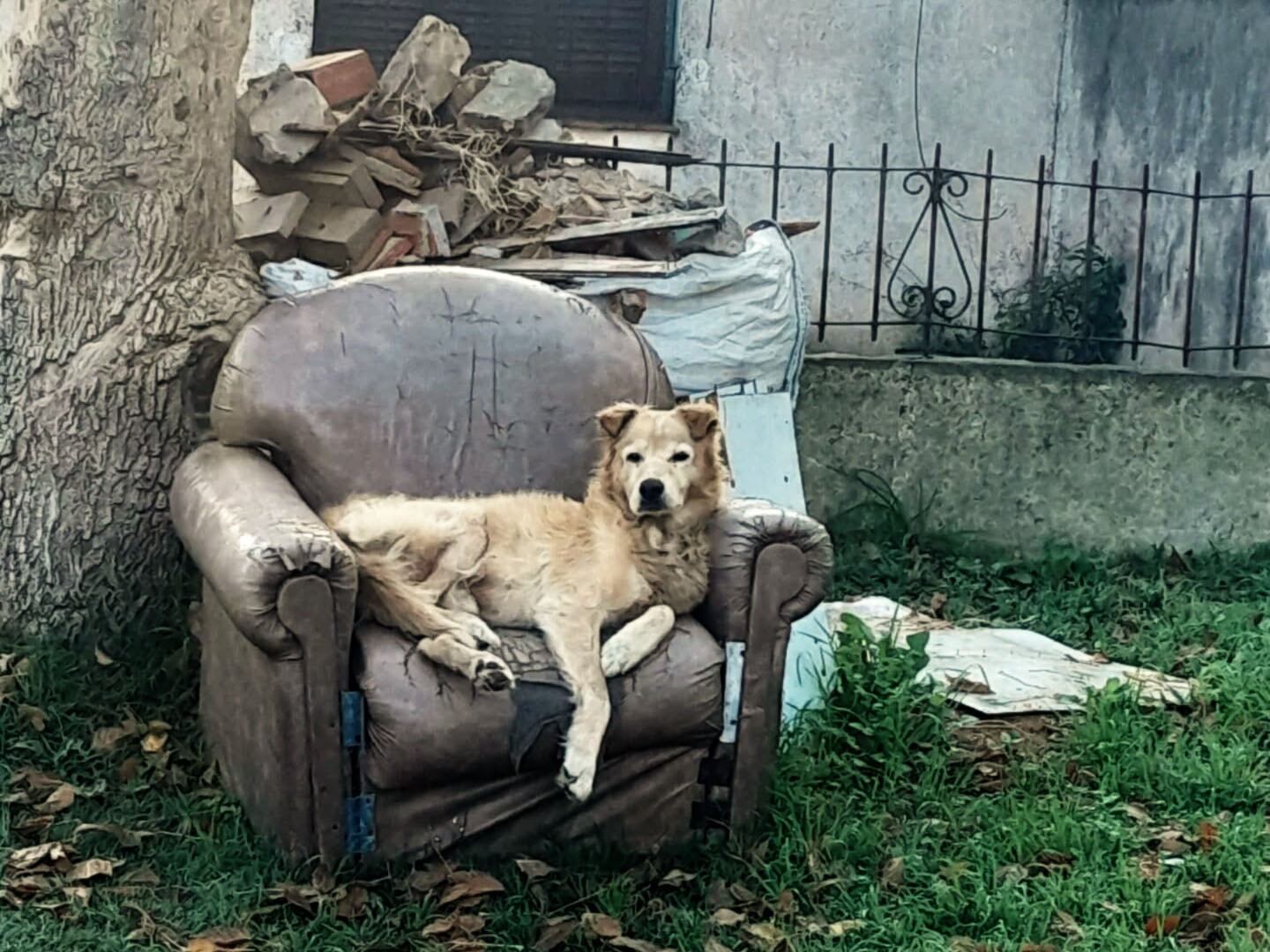 Para nosotros, para nuestra posteridad, por Damián Daniani.