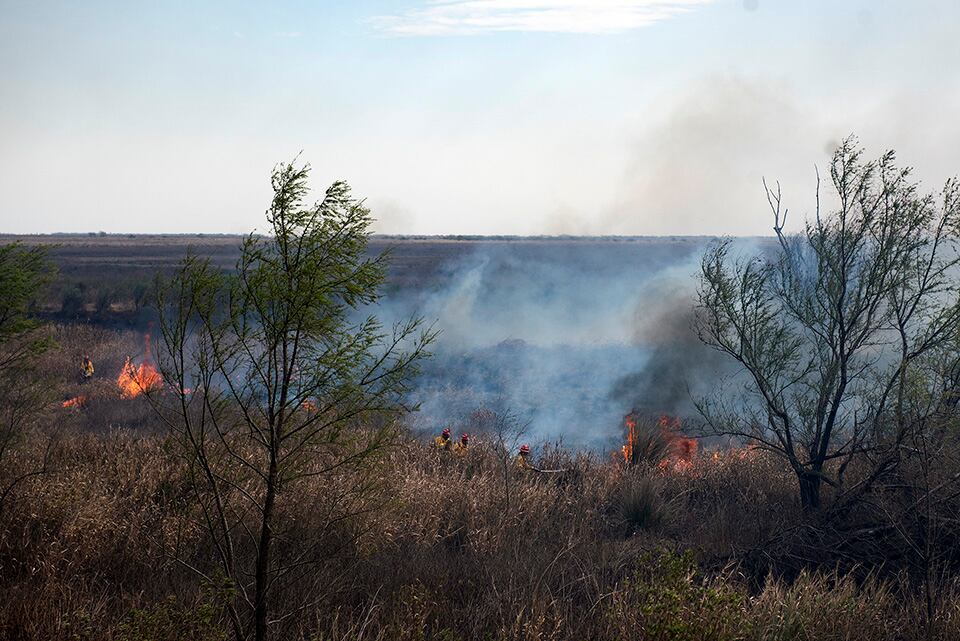 La investigación lleva unos años y se basa en reportes científicos de la UNR.