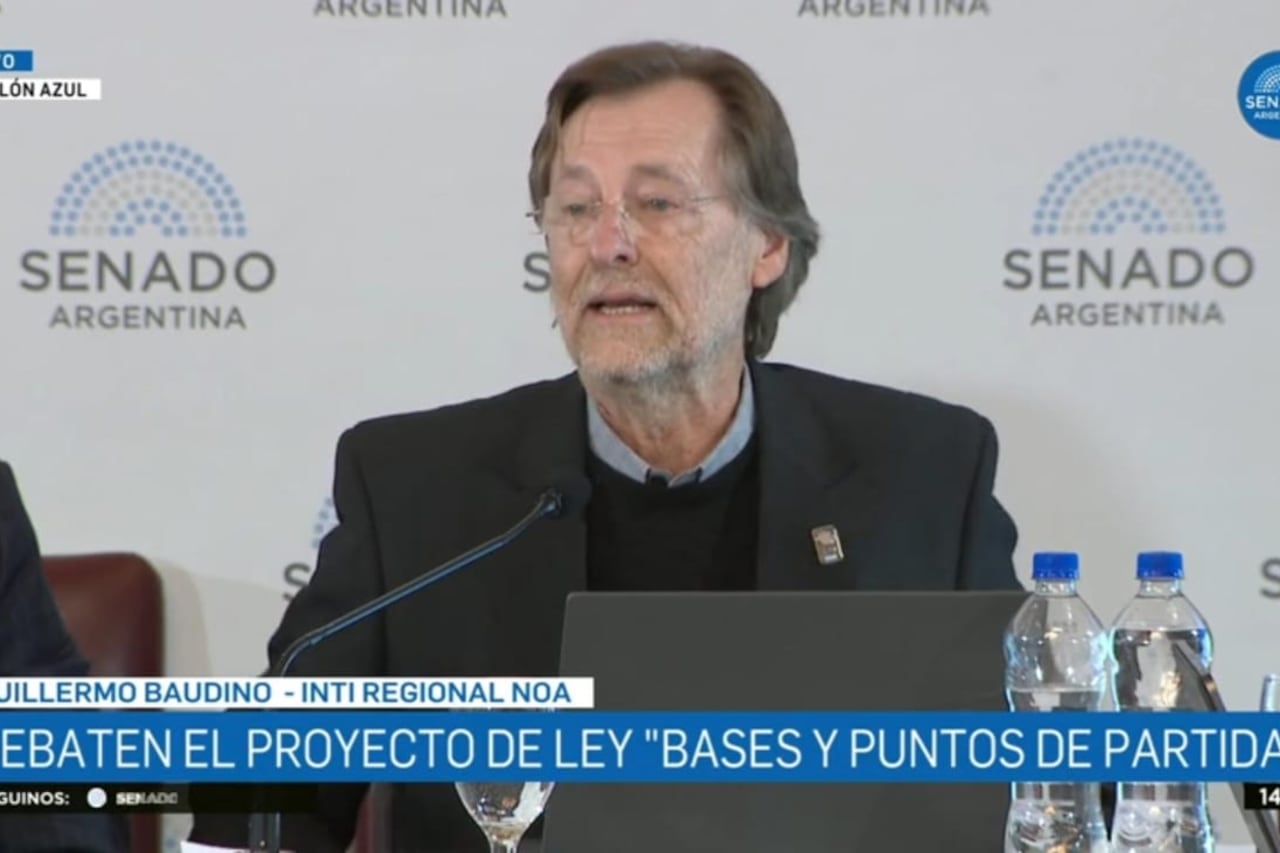 Guillermo Baudino ante el Senado de la Nación