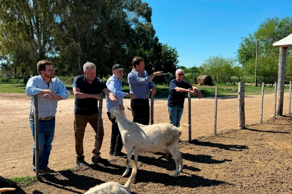 Larreta junto a Monzó y Massot en una actividad en la ciudad bonaerense de Suipacha.