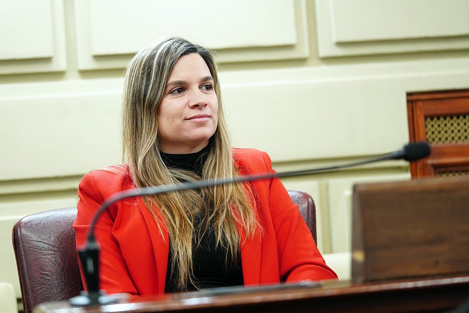 "Es un caso difícil que merece un trabajo serio y responsable", dijo Ulieldín.