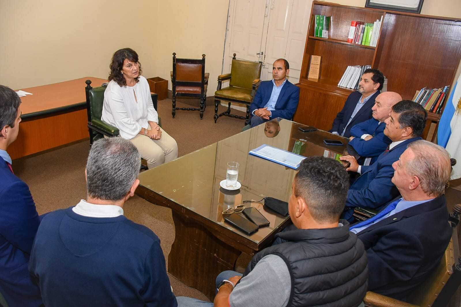 Nallim en la entrevista en la Comisión de Justicia del Senado. 