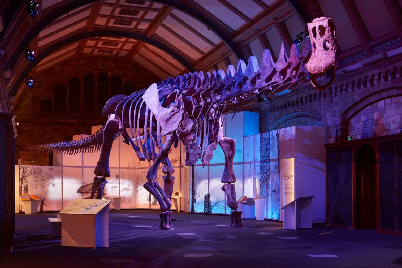 El "Patagotitan" llegó a pesar 57 toneladas. 