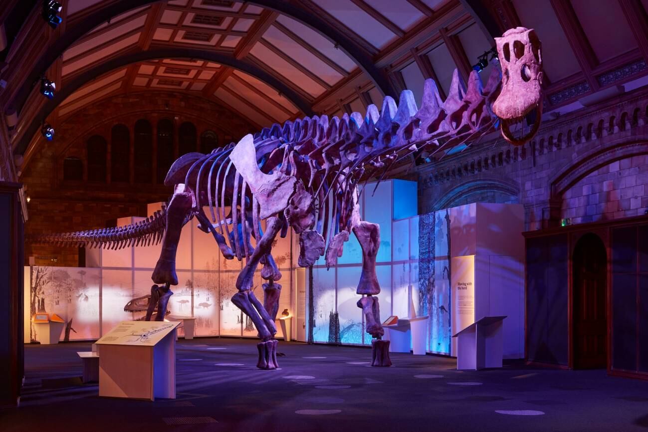 El "Patagotitan" llegó a pesar 57 toneladas.