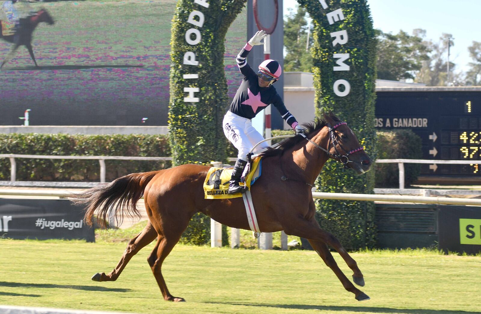 Belleza de Arteaga ganó 11 carreras en San Isidro y Palermo.