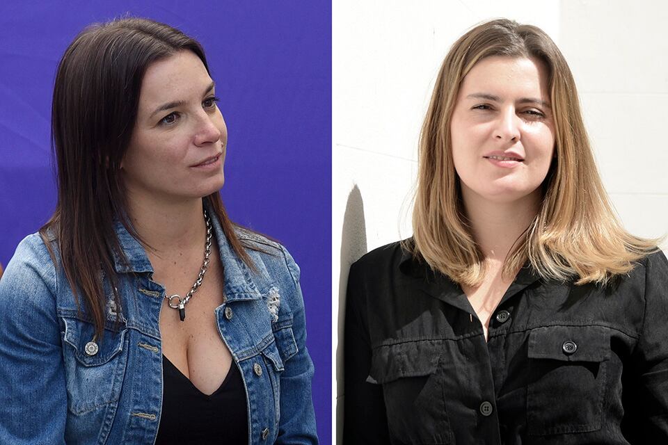 Lucila De Ponti y Lionela Cattalini coincidieron en la necesidad de la ley