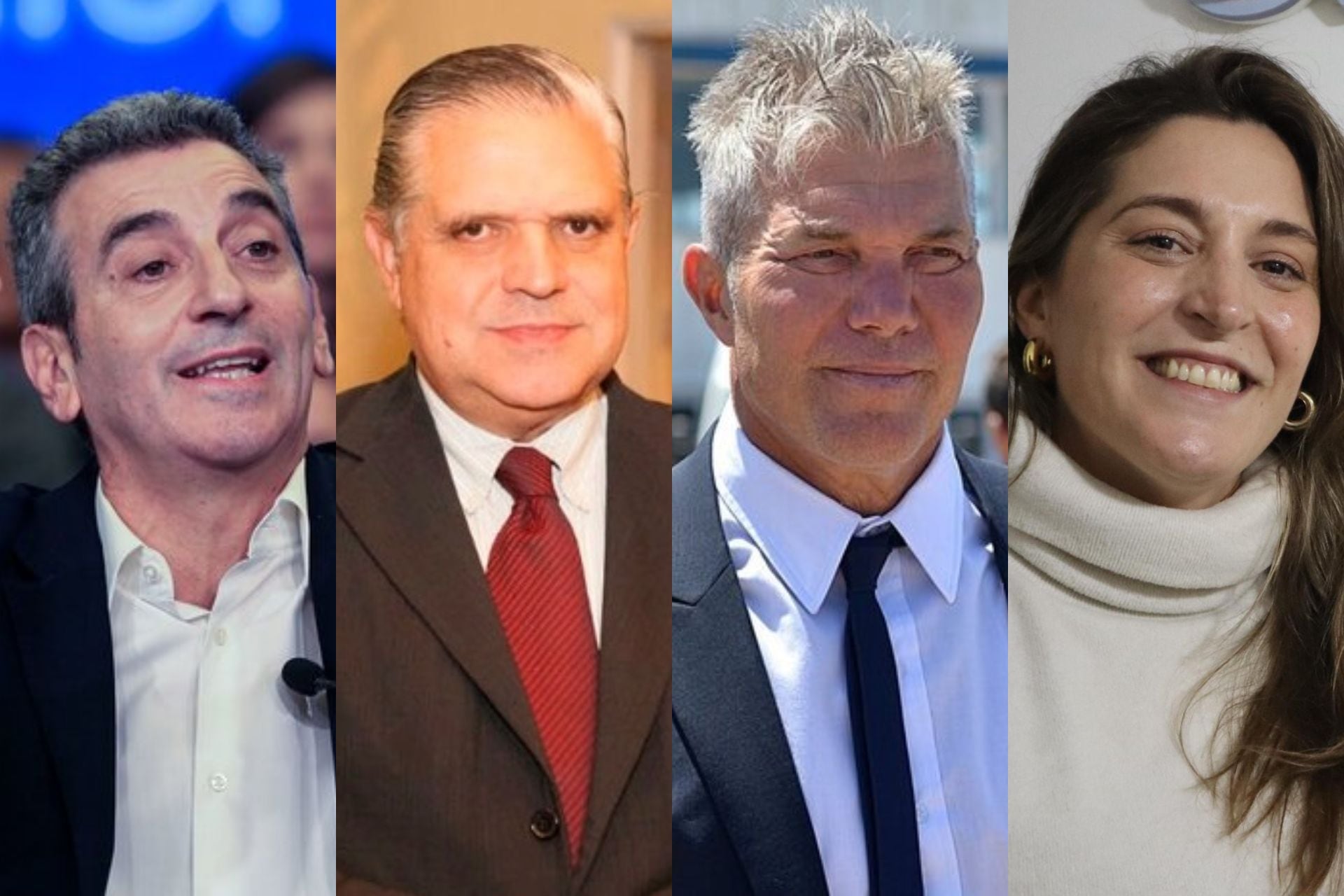 Elecciones legislativas 2025