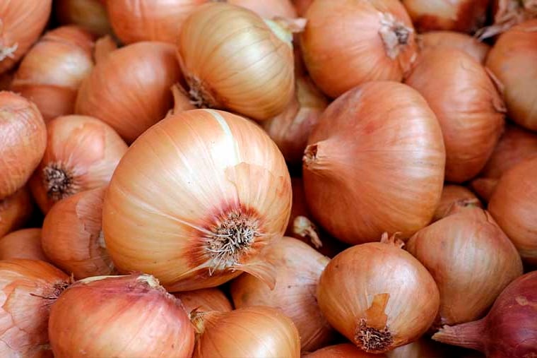 En la cebolla la diferencia es de 7,7 veces.