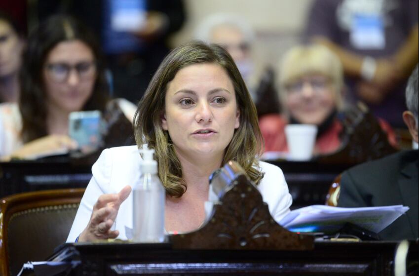 La diputada Vanesa Siley apuntó contra 