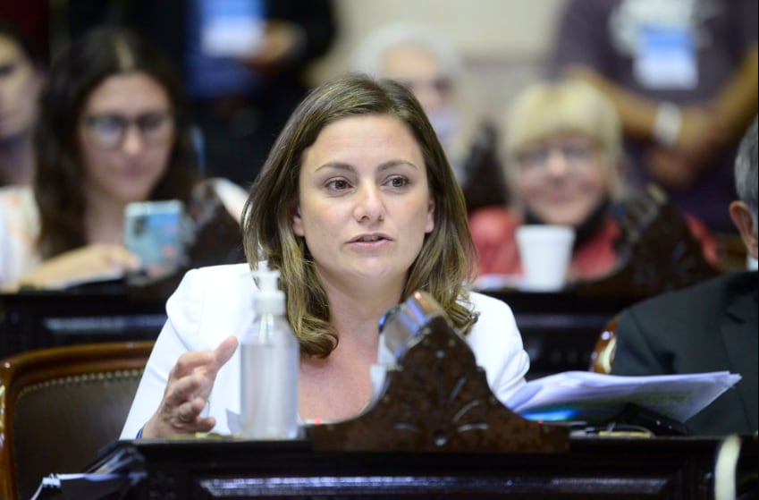 La diputada Vanesa Siley apuntó contra