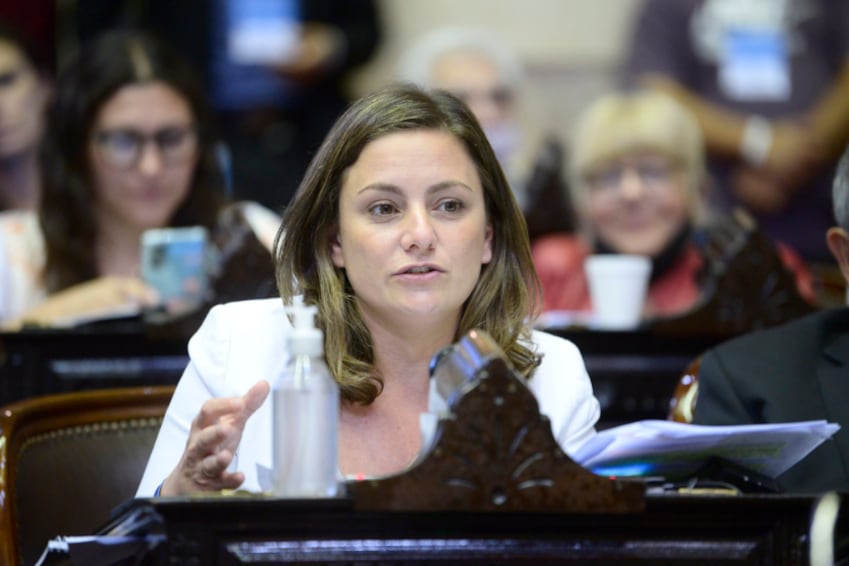 La diputada Vanesa Siley apuntó contra
