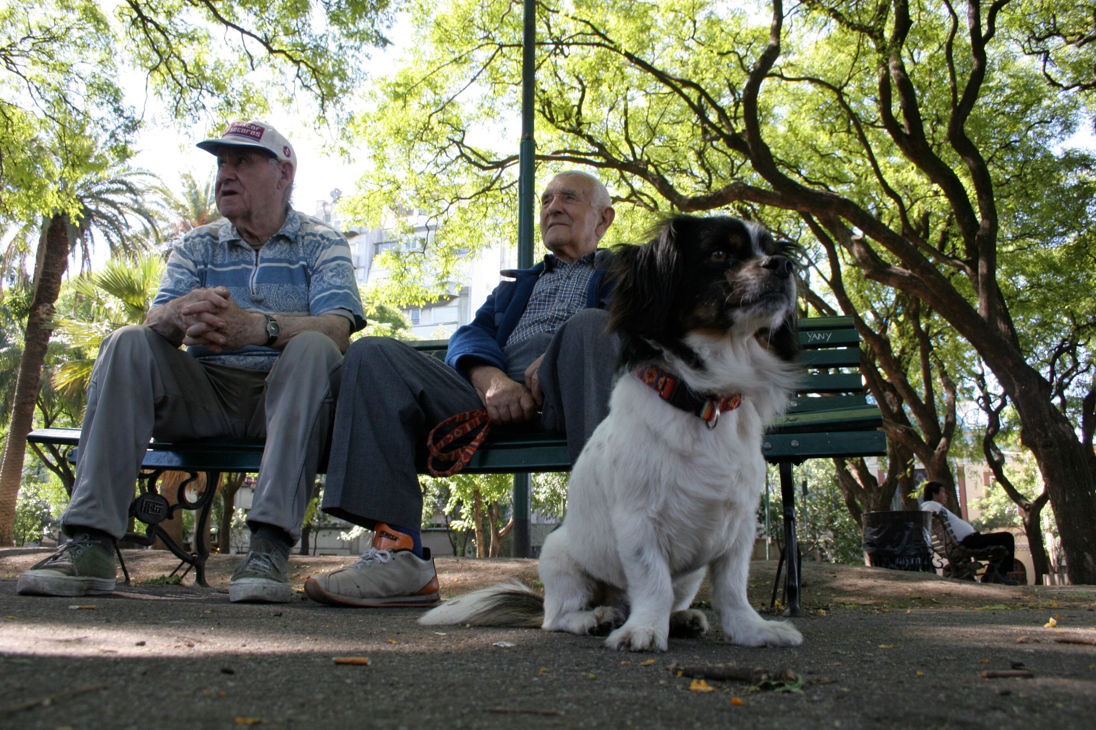 El porcentaje de haberes que potencialmente podría beneficiar este cambio se ubica en el 76 por ciento.