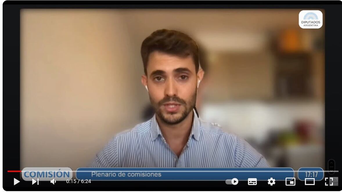 Biocca expuso por Zoom en la sesión informativa de la Cámara Baja. 