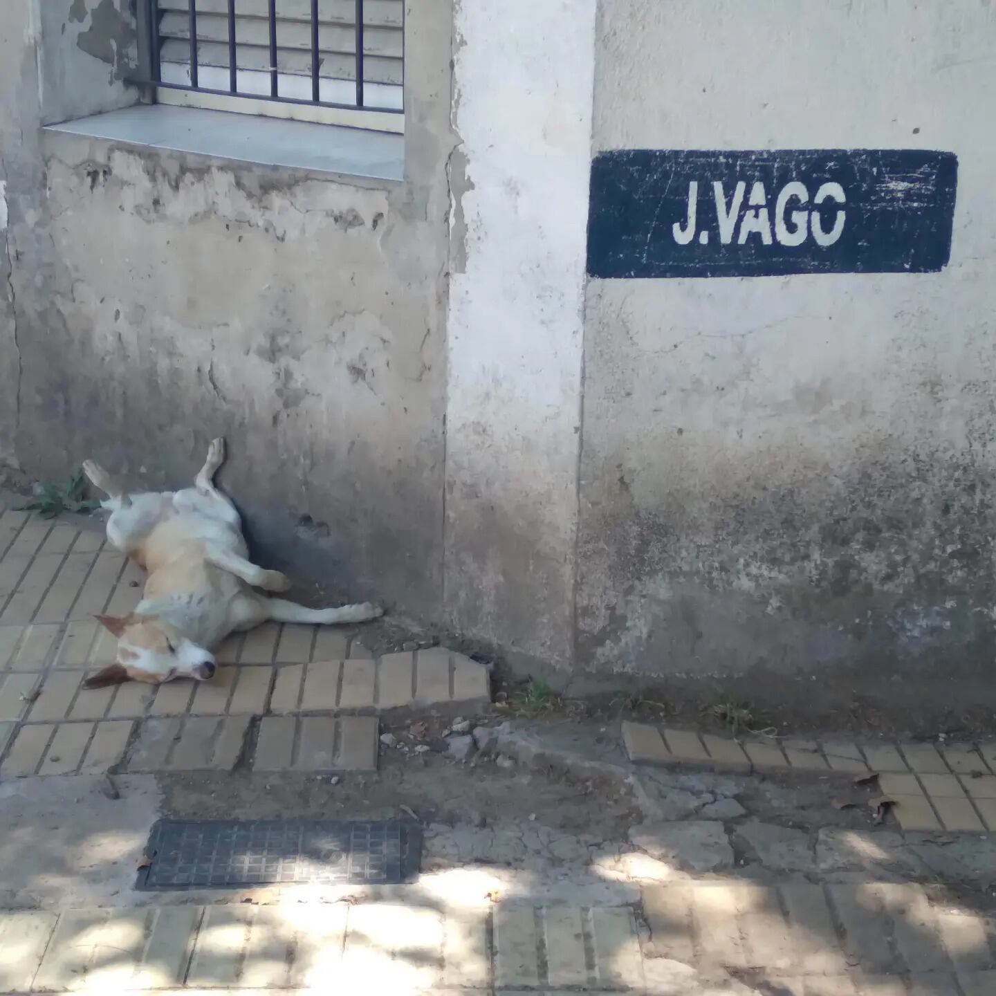 Una calle en tu honor, por Paulo Goñi.