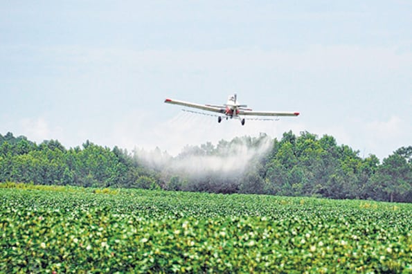 El fallo anuló la vigencia del decreto y repuso las distancias ya ordenadas.