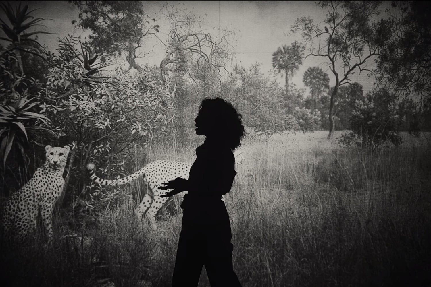 El videoclip de Karin Idelson y Johanna Wilhelm para Corazón licántropo, de Paula Maffía, se llevó uno de los Gardel.