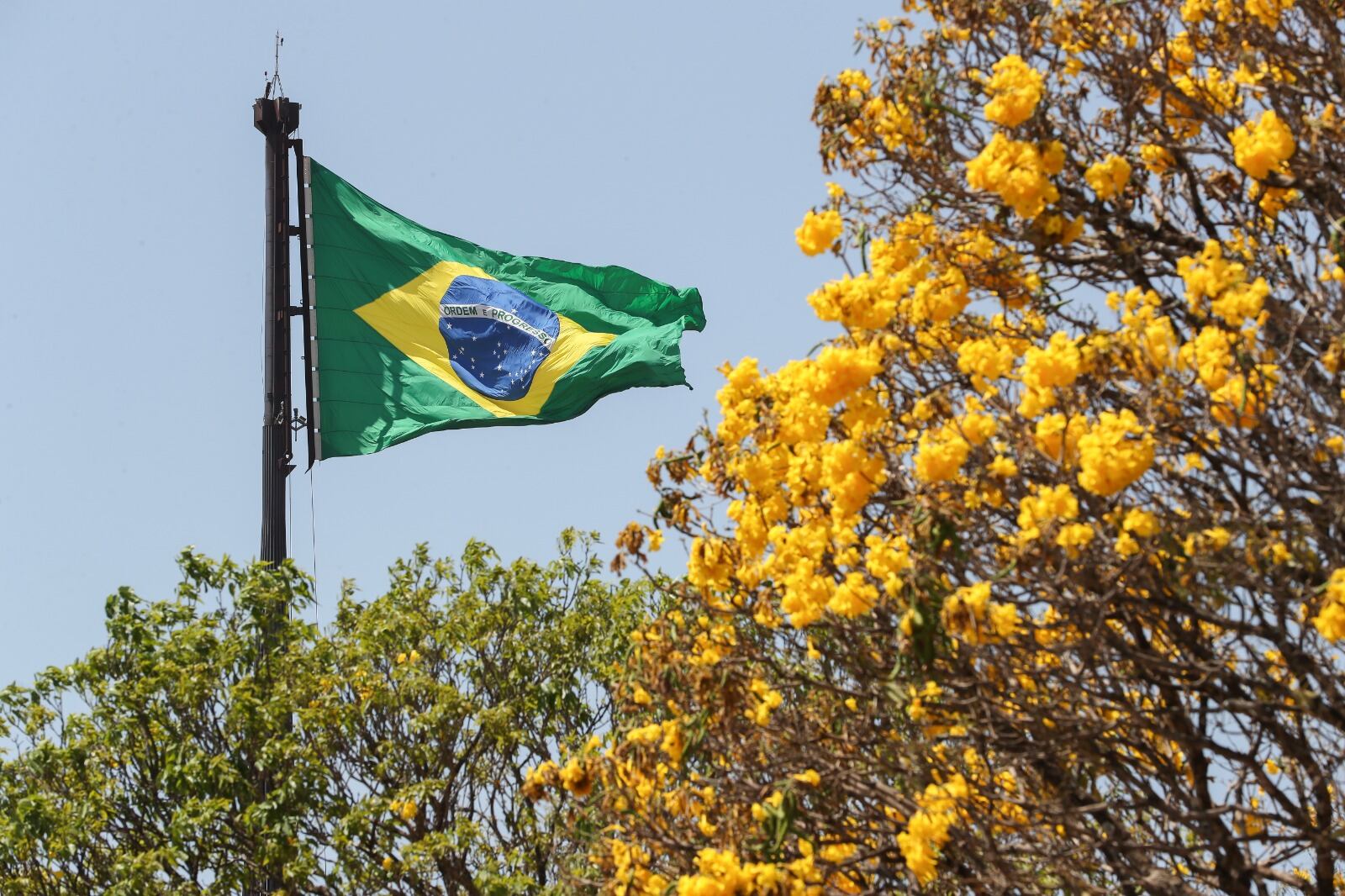 Celebraciones del Día de la Independencia en Brasil / Marcos Corrêa, Planalto