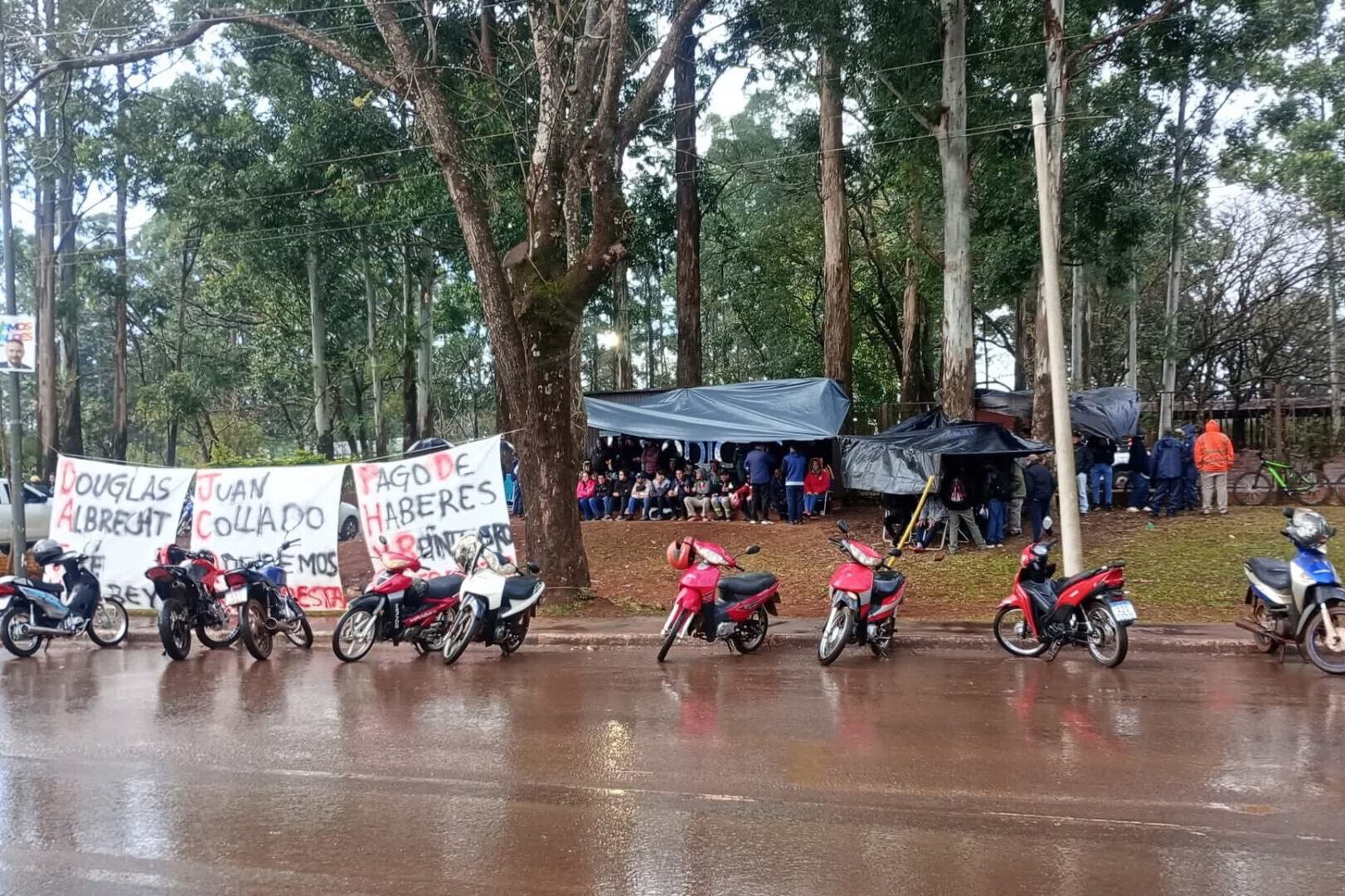 Forestadora Tapebicuá anunció un cese de tareas por 30 días