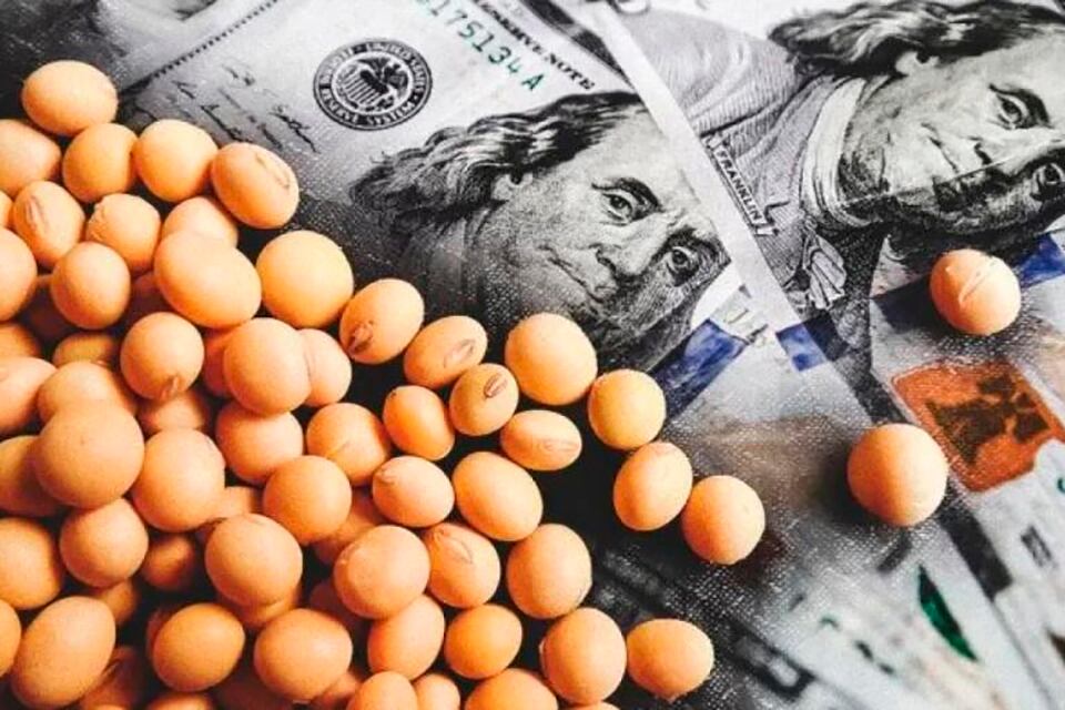 El BCRA dispuso un régimen con incentivos para productores agropecuarios . Foto: Télam