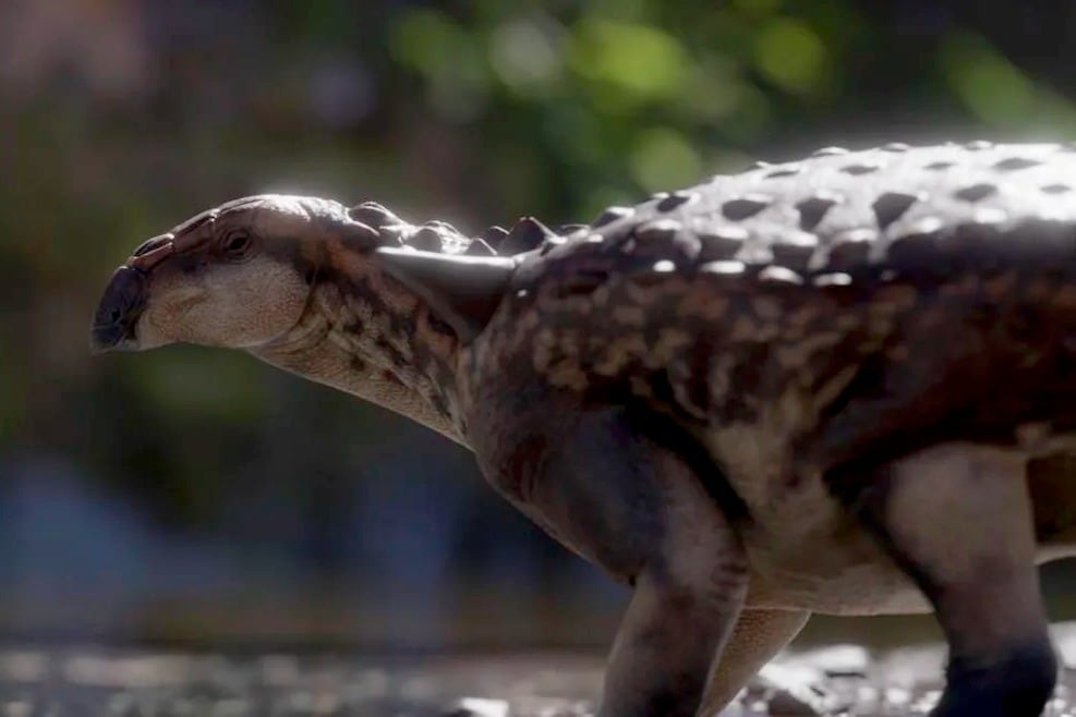Bautizado como patagopelta cristata, fue encontrado en las proximidades del Salitral Moreno, al sur de la ciudad rionegrina de General Roca.