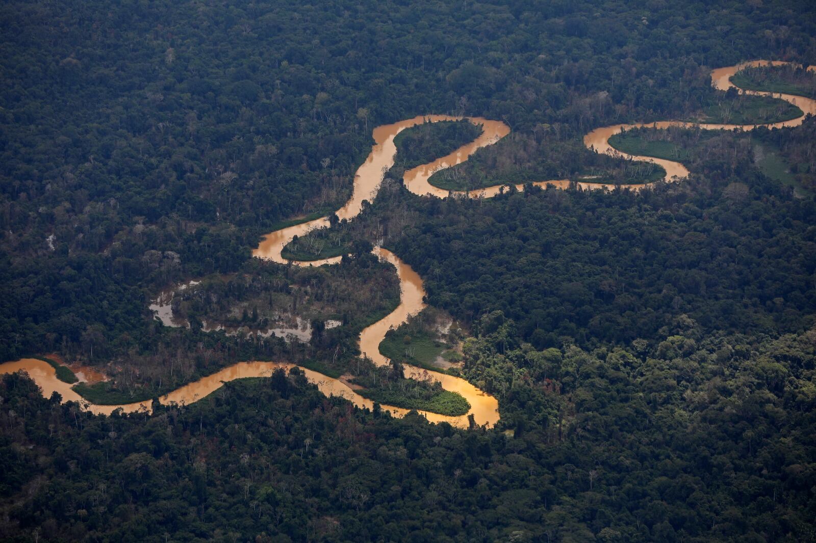 La Amazonia es un laberinto dificil de cuidar.