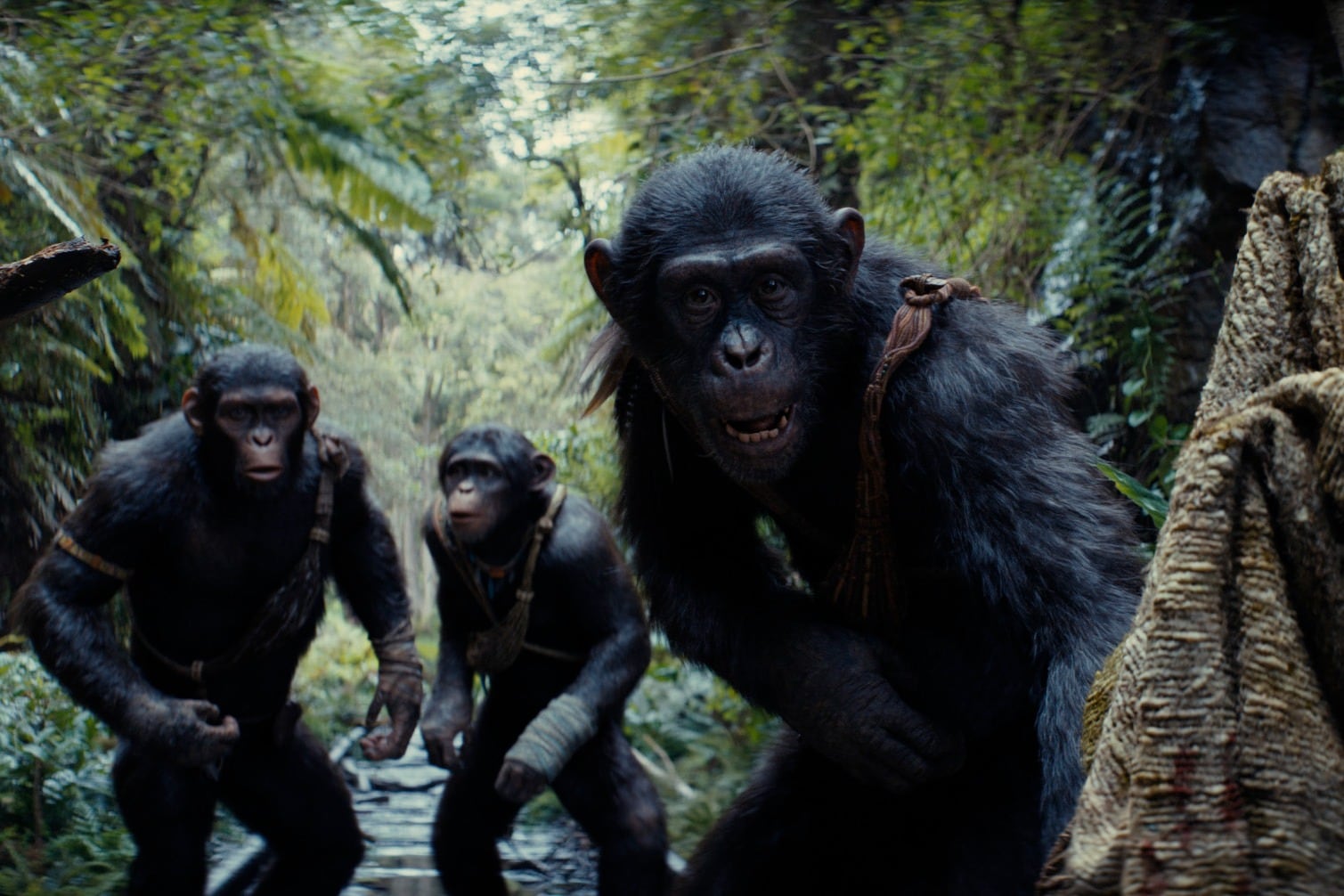 En el film, los primates ya son amos y señores del mundo.