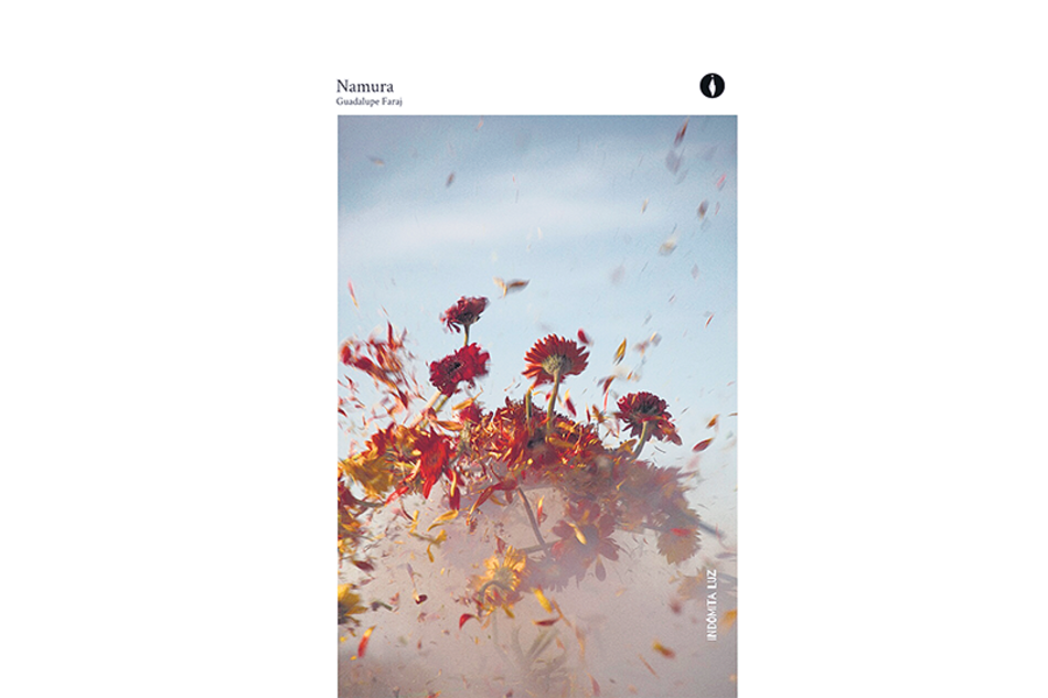 Namura Guadalupe Faraj Indómita luz