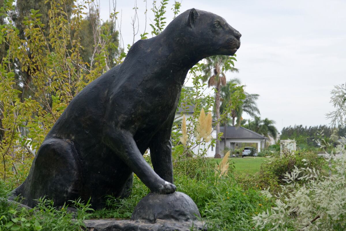 Yaguareté, guardián de los ancestros. De fondo de los barrios privados. Imagen: Nicolás Parodi