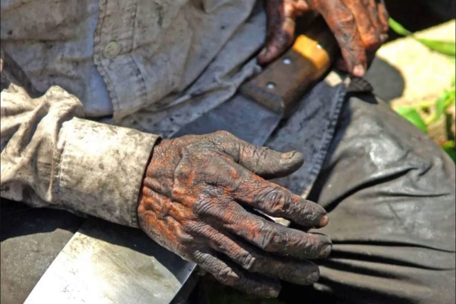 Imagen: Renato Alves/MTE