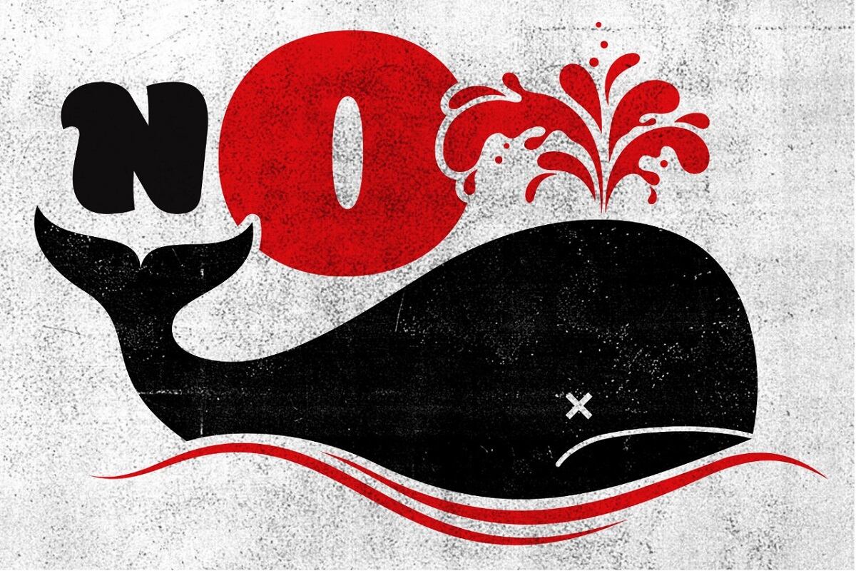 En Península Valdés, las toxinas marinas por la proliferación de moluscos arrojaron cifras 45 veces más dañinas que el límite tolerable