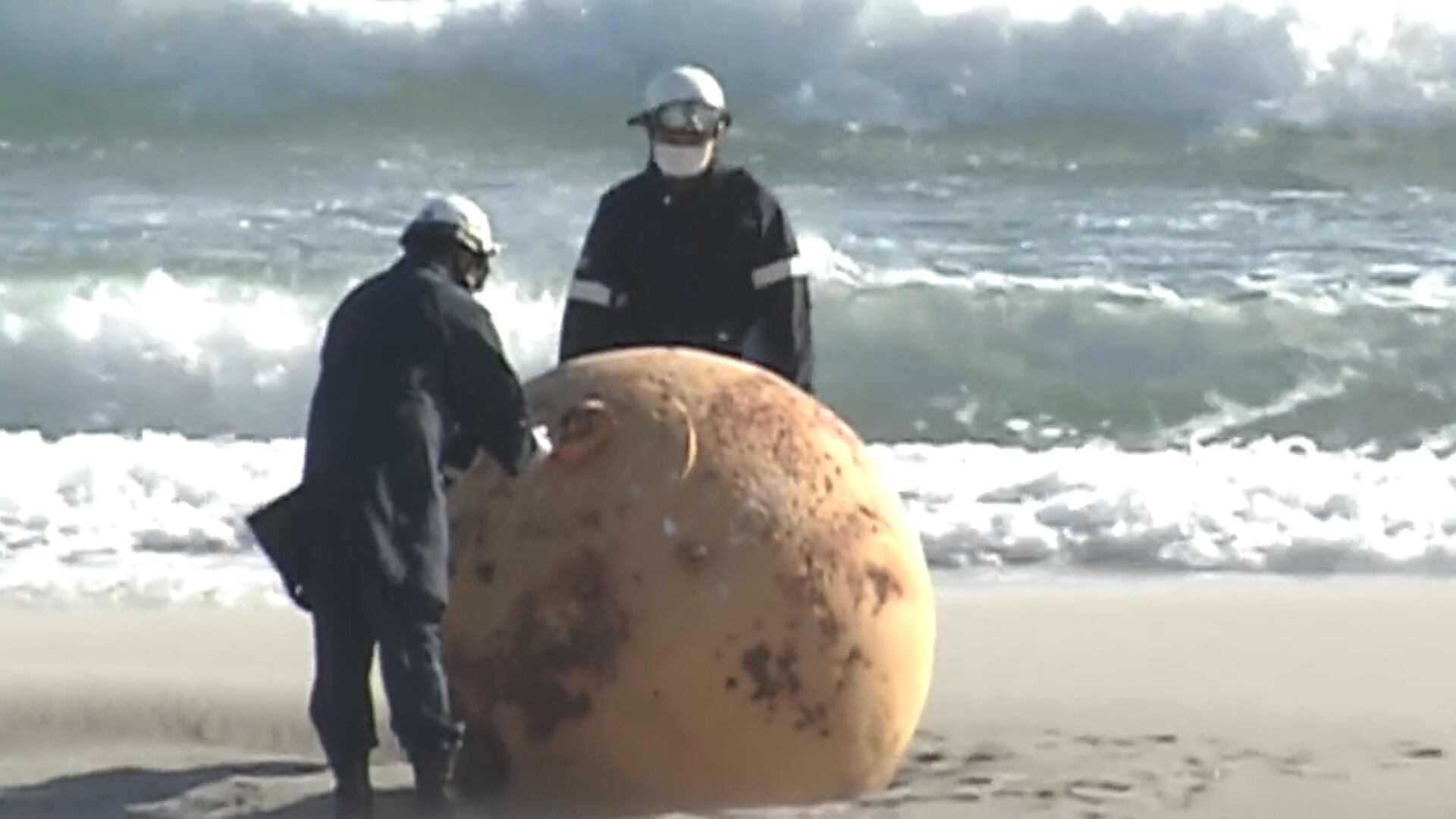 Dos agentes del escuadrón antibombas analizan la esfera de metal encontrada en la playa japonesa de Enshuhama. (Foto: captura de pantalla NHK)