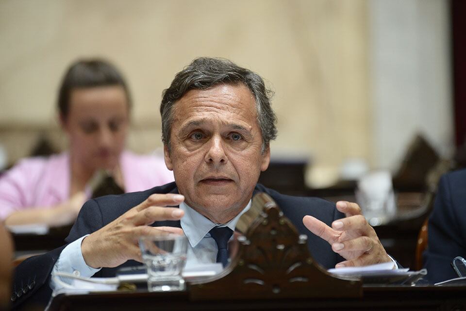 Giuliano: "La privatización puede ser algo perjudicial para el país"