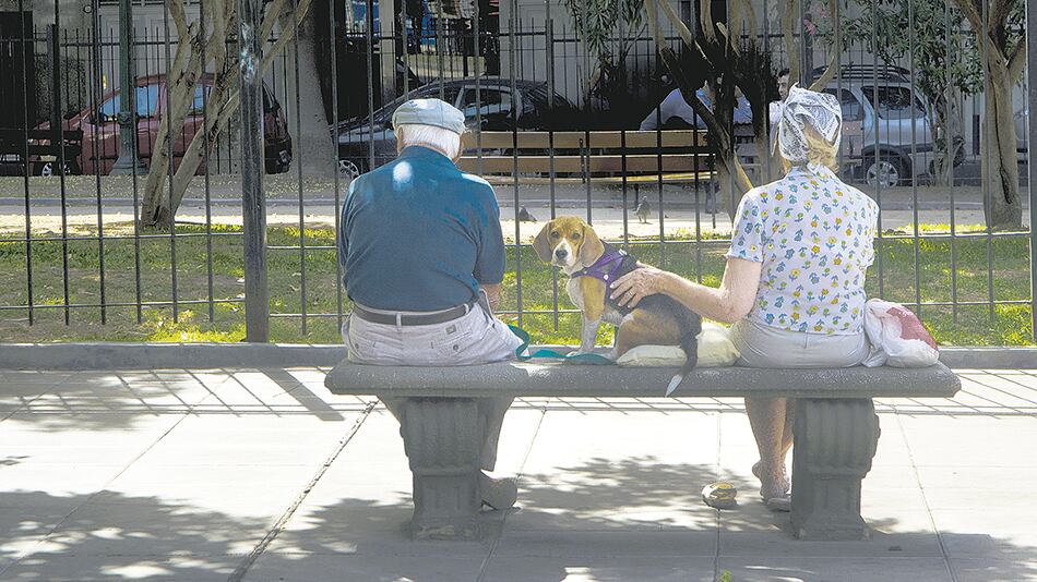 De diciembre de 2017 a igual mes de 2018, los jubilados perdieron 12,9 por ciento de su poder adquisitivo