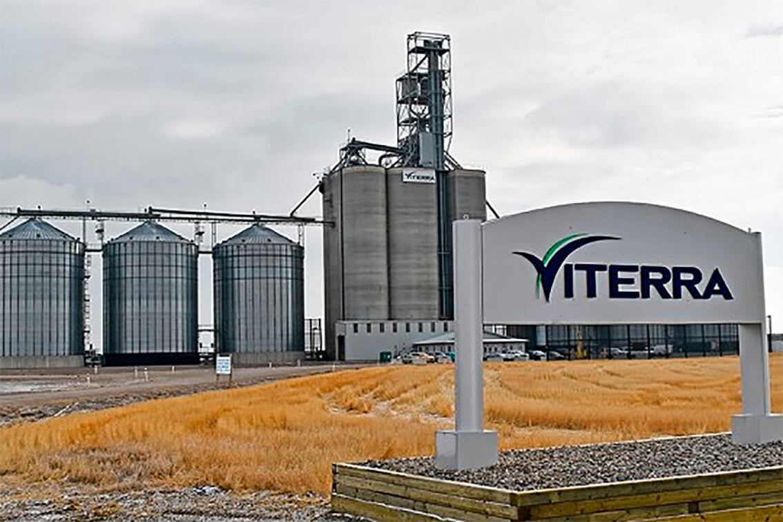 Bunge y Viterra pasarían a exportar el 61% del aceite de girasol del país