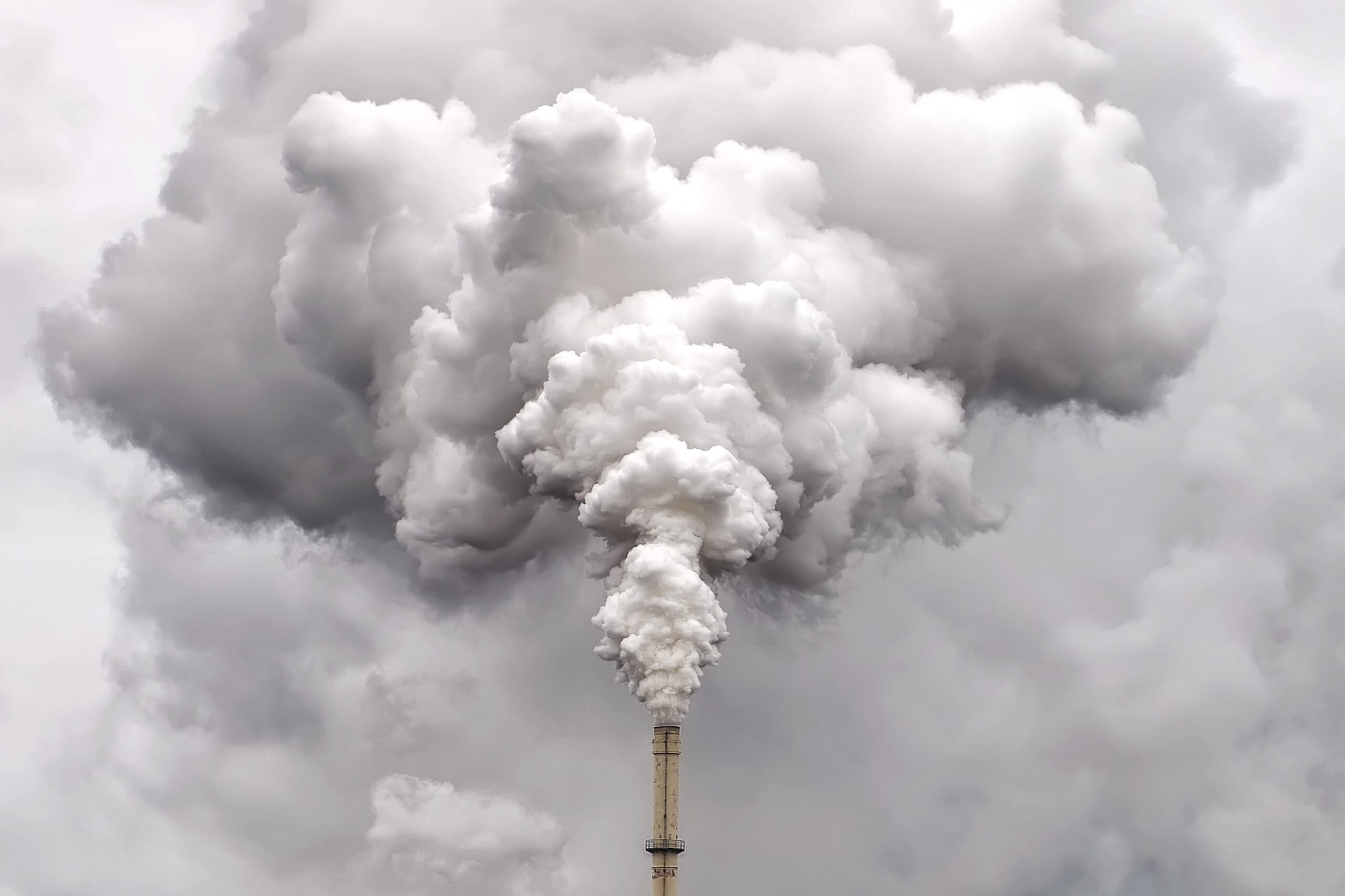 Ahora resulta que las promesas de Milei eran puro humo.