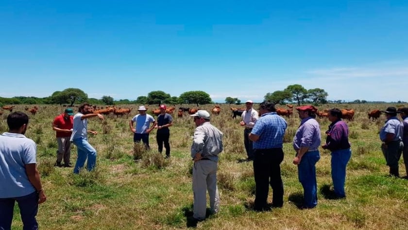 Trabajo territorial del INTA Salta
