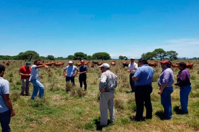 Trabajo territorial del INTA Salta